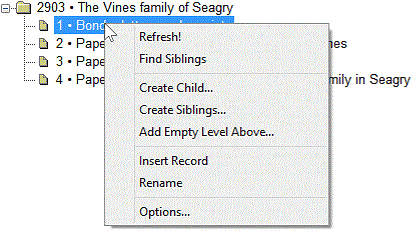 This tree menu has the following options: Refresh, Find Siblings, Create Child, Create Siblings, Add Above, Insert Record, Rename and Options.