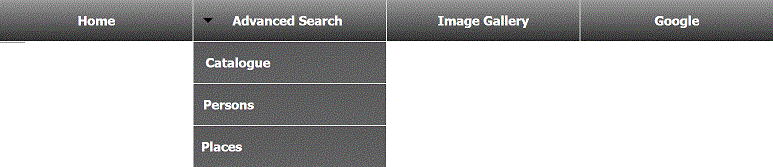 The top navigation bar, with buttons for Home, Advanced Search,
Image Gallery, and Google search