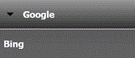 A Google button on the top navigation bar with a Bing button displayed below it